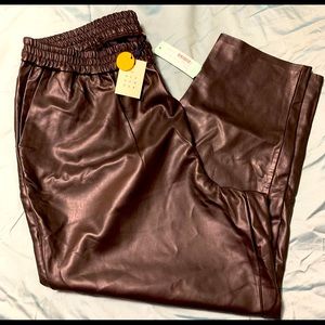 Stitch Fix Eloquii Faux Leather pants size 20W BNWT